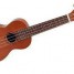 stage-de-ukulele