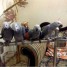 perroquets-gris-d-afrique