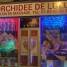 salon-de-massage-orchidee-de-lulu