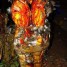 solution-rapide-pour-retour-d-affection-safari-tidiane-0022963392531