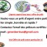 gerardserieux-gmail-com-offre-de-pret-entre-particulier-serieux-et-rapide-fr-france-listes-des-vrais-preteurs-de-l-internet-des-preteurs-certifies-des-preteurs-sans-arnaques-des-preteurs-reco