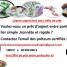 chevrierjacqueslouisrodolphe-gmail-com-offre-de-pret-entre-particulier-rapide-et-fiable-pret-credit-financement-investissement