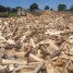 bois-de-chauffage-de-meilleur-qualite
