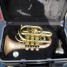 carolbrass